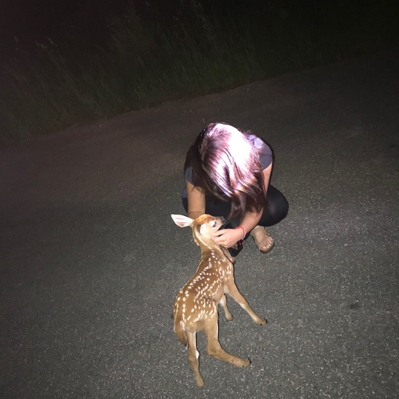 Meet the posher, - Picture 4 of 13